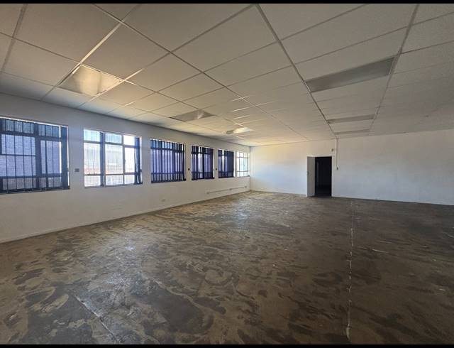 531M² WAREHOUSE TO LET IN ELSIES RIVER INDUSTRIAL